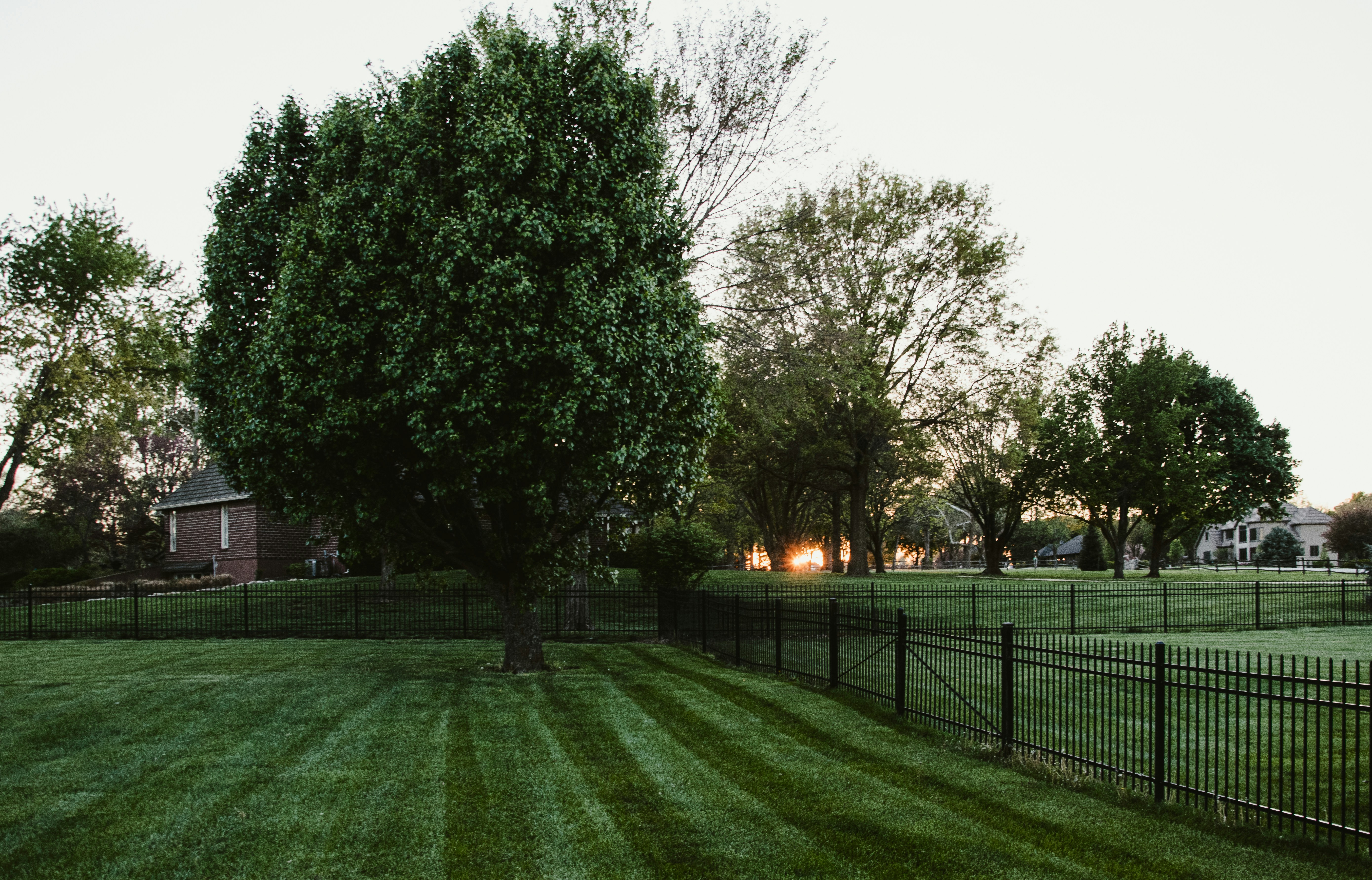 LVM Home Group — Landscaping and Lawn Services, Rockford IL